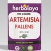 herbolay artemisia pallens