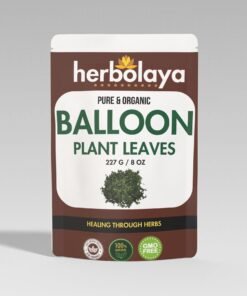 Herbolaya Balloon Plant Leaves