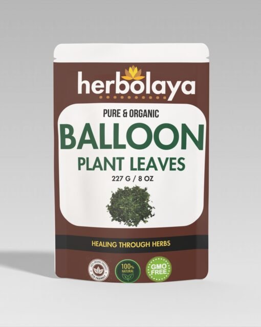 Herbolaya Balloon Plant Leaves