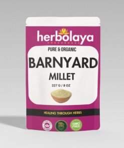 herbolaya barnyard millet