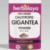 herbolaya calotropis gigantea powder