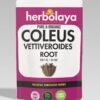 Herbolaya Coleus Vettiveroides Root