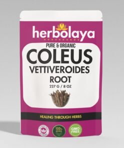 Herbolaya Coleus Vettiveroides Root