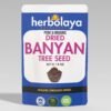 herbolaya dried banyan tree seed