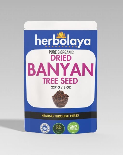 herbolaya dried banyan tree seed