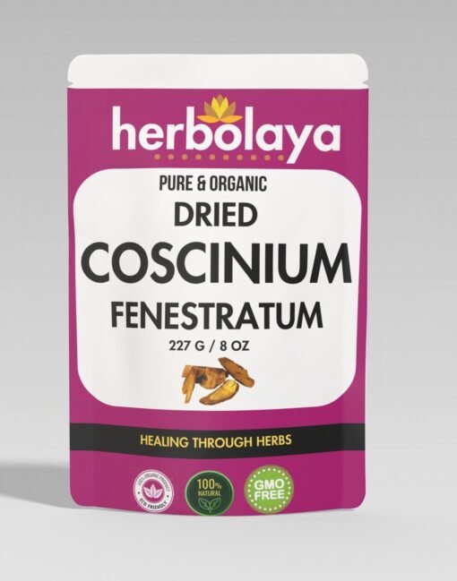 HERBOLAYA DRIED COSCINIUMFENESTRATUM
