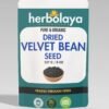 Herbolaya Dried Velvet Bean Seed