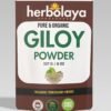 Herbolya Giloy Powder