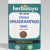 herbolaya indian sphaeranthus dried
