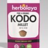 herbolaya kodo millet