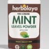 Herbolaya Mint Leaves Powder