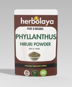 herbolaya phyllanthus niruri powder