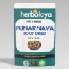 Herbolaya Punarnava Root Dried