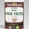 Herbolaya Raw Pine Nuts