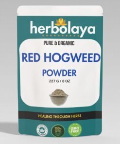 herbolaya red hogweed powder