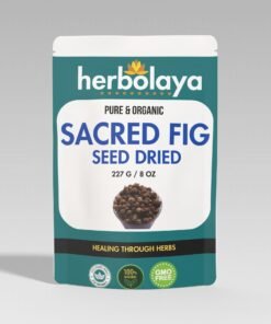 Herbolaya Sacred Fig Seed Dried