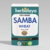 Herbolaya Samba Wheat