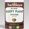 herbolaya sleepy plant powder