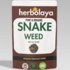 herbolaya snake weed