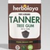 herbolaya tanner tree gum