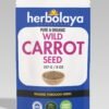 herbolaya wild carrot seed